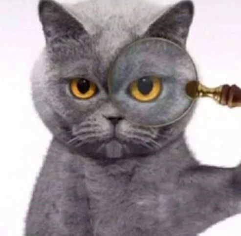 抖音三只猫咪点头gif动图v2.8截图1