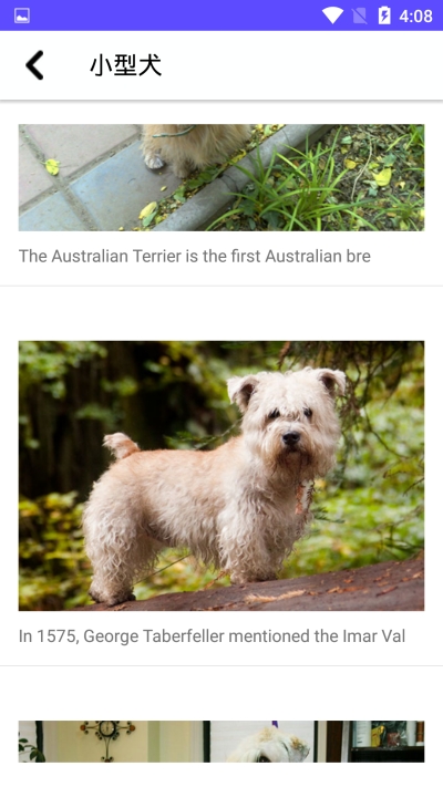 狗狗图鉴v1.3.7截图1