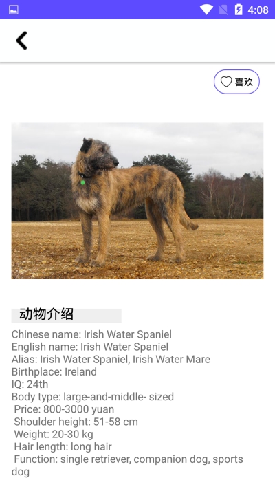 狗狗图鉴v1.3.7截图2