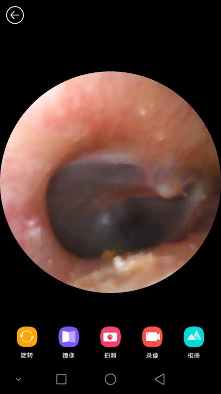 蜂鸟采耳v4.5.11截图5