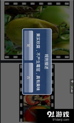 番茄病虫害v2.11截图3