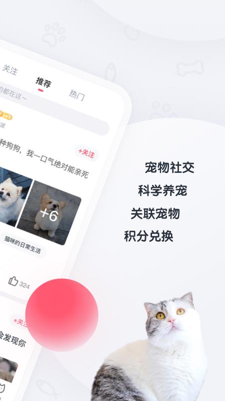 粉爪v1.9截图4