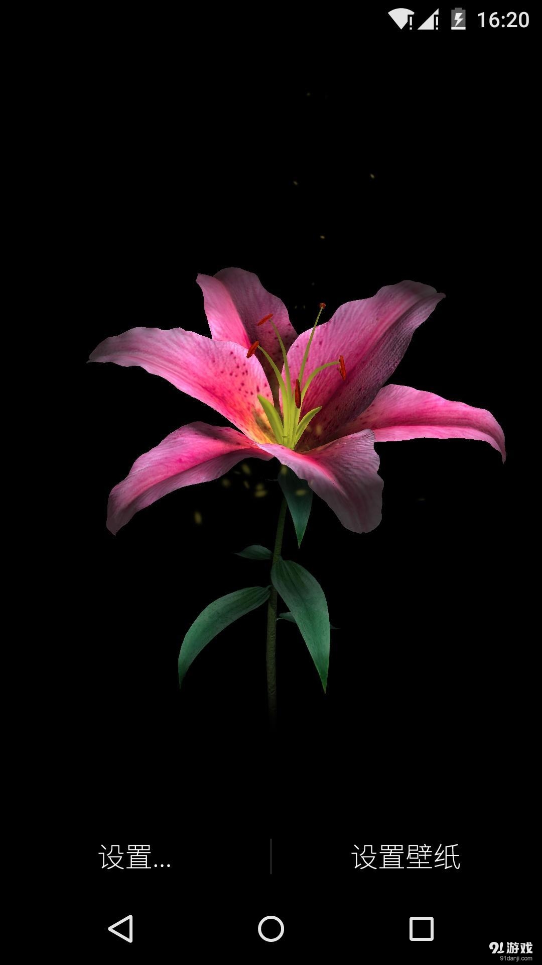3D百合花：梦象动态壁纸v1.7.9截图1
