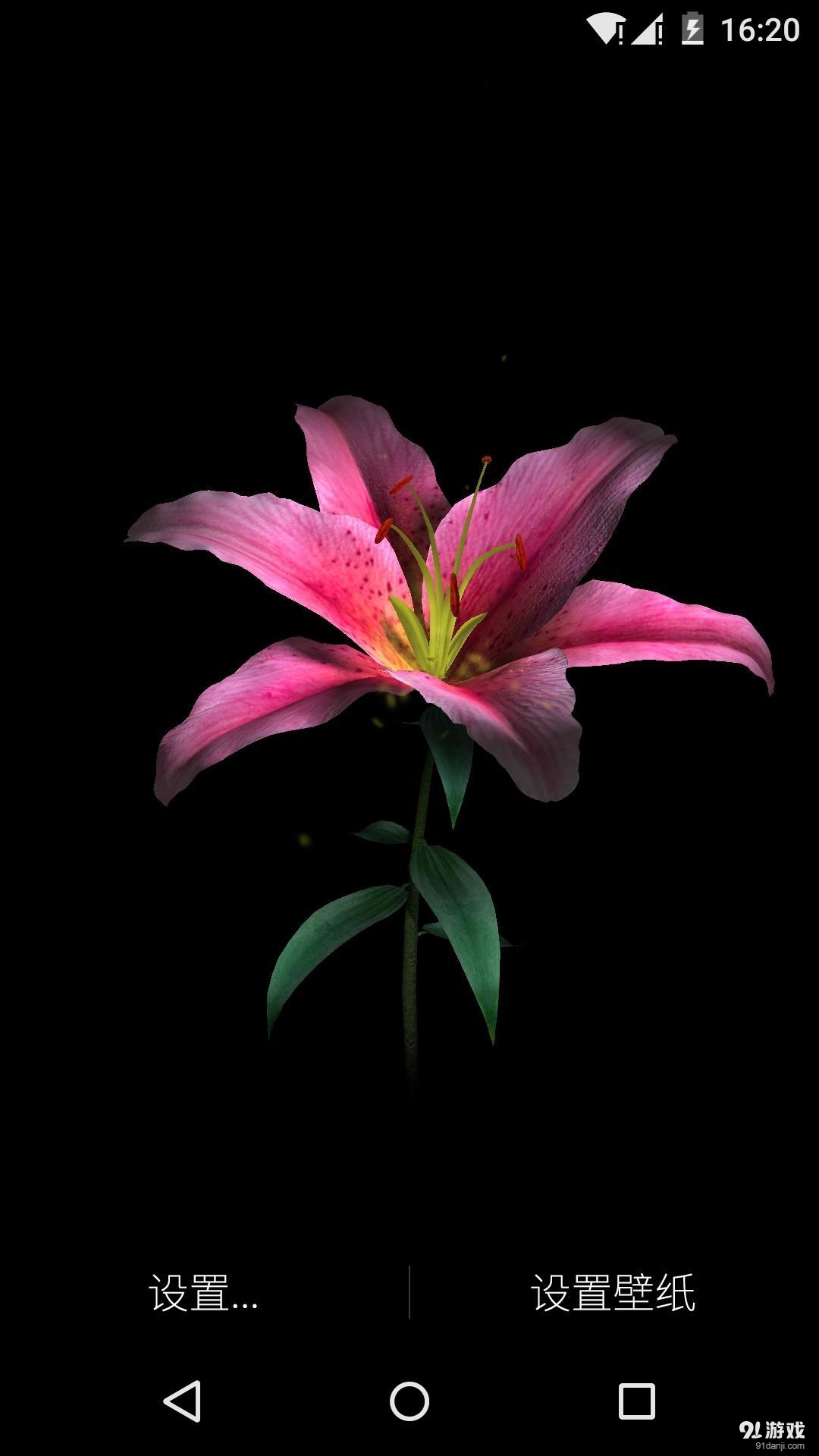 3D百合花：梦象动态壁纸v1.7.9截图2