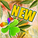 GO桌面杂草贾主题v2.9