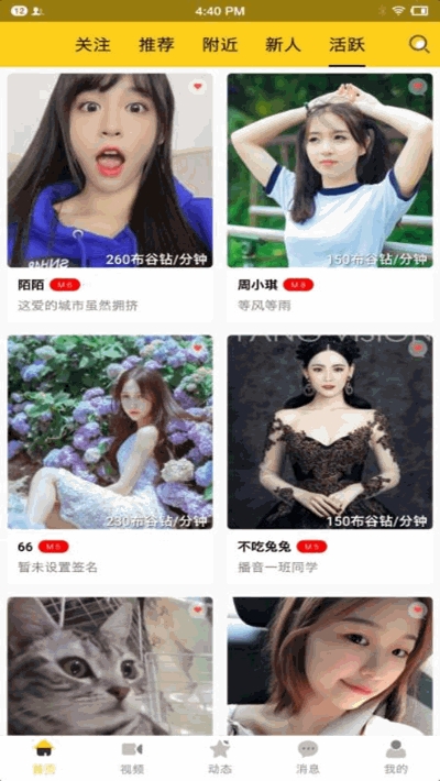 波斯猫社区v1.9截图3