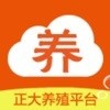 猪博士v2.11