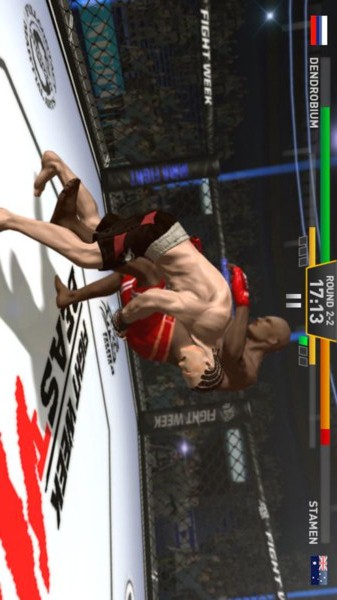 格斗明星v1.9截图3