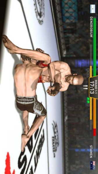 格斗明星v1.9截图2