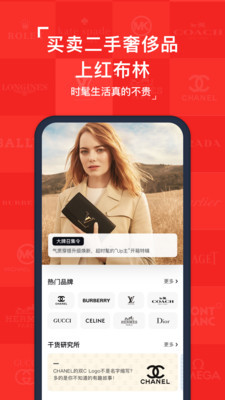 红布林v4.3.13截图2