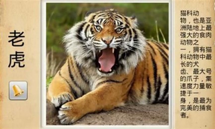 哆哆学习乐园v5.3.10截图2