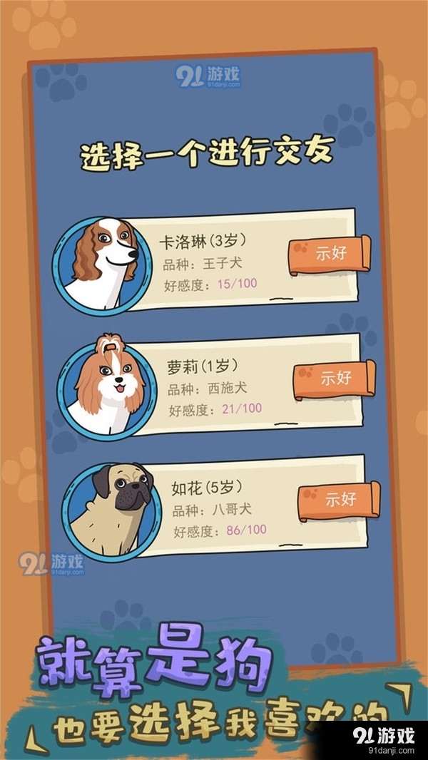 狗生模拟器v236截图1