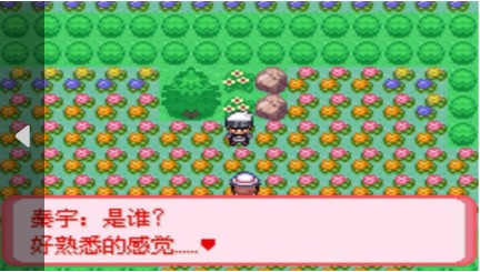 口袋妖怪 暗古神坛6.0 Another Result（悟饭）v1.8截图4