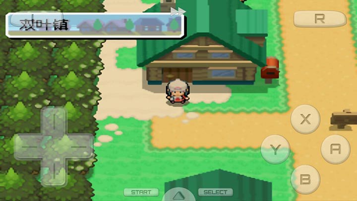 口袋妖怪：白金493 汉化版（悟饭）v2.10截图2