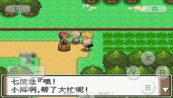 口袋妖怪：白金493 汉化版（悟饭）v2.10截图3