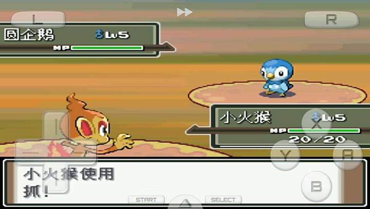 口袋妖怪：白金493 汉化版（悟饭）v2.10截图5