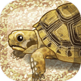 治愈的龟养成免费版v1.6