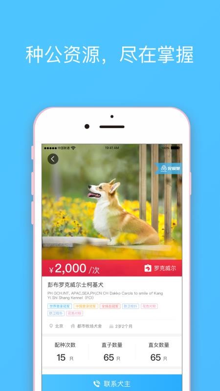宠爱王国v3.12.12截图3