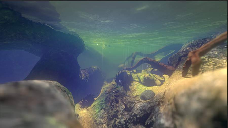 饲料和成长：鱼v1.8截图2