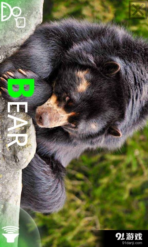 认识动物v4.10.7截图2