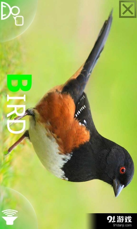 认识动物v4.10.7截图3