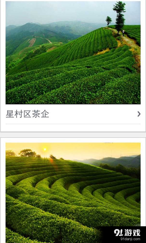 中国大红袍v1.12.1.0426截图1