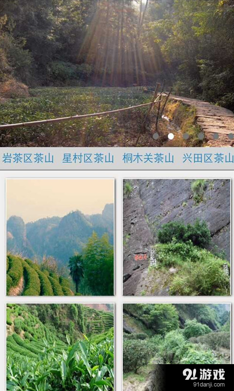 中国大红袍v1.12.1.0426截图4