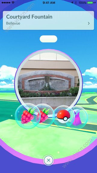 pokemon go谷歌商店android版v0.32.6截图5