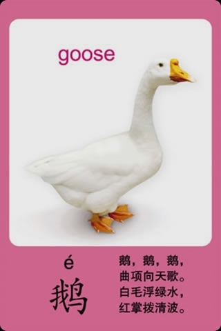 爱动物v5.3.7截图3