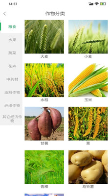 慧农品安v1.6.6截图1