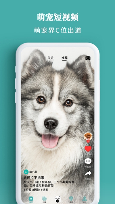 宠朕(短视频社交)v1.3.8截图1
