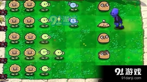 萌化版植物爆射僵尸王无广告版v1.5截图1