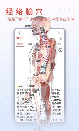 3DBody解剖手机正版截图1
