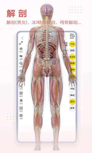 3DBody解剖手机正版截图3