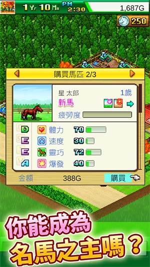 顶级跑马牧场手机截图2