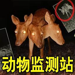 恐怖动物园探险手游无广告版