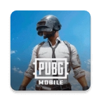 地铁逃生pubg(PUBG MOBILE)免费原版