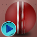 接住板球(Catch Cricket Ball)