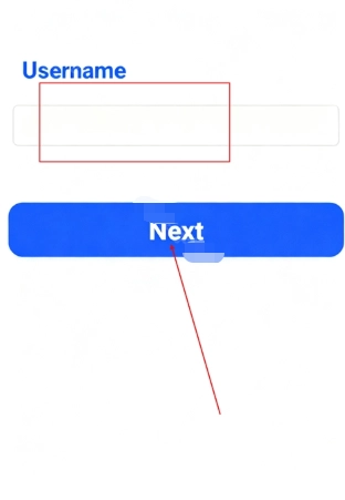sora安卓版截图2