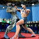 拳击俱乐部3D游戏纯净