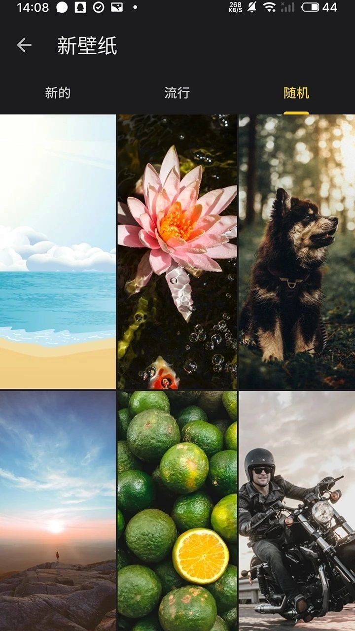 福来多壁纸截图3