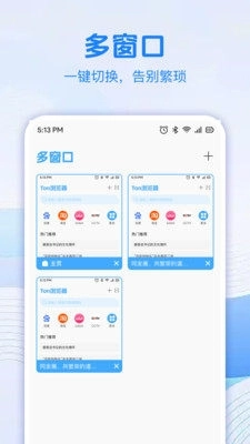 Flux浏览器截图3