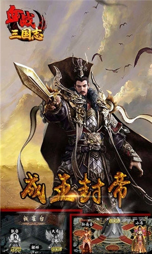 血战三国志游戏纯净截图2