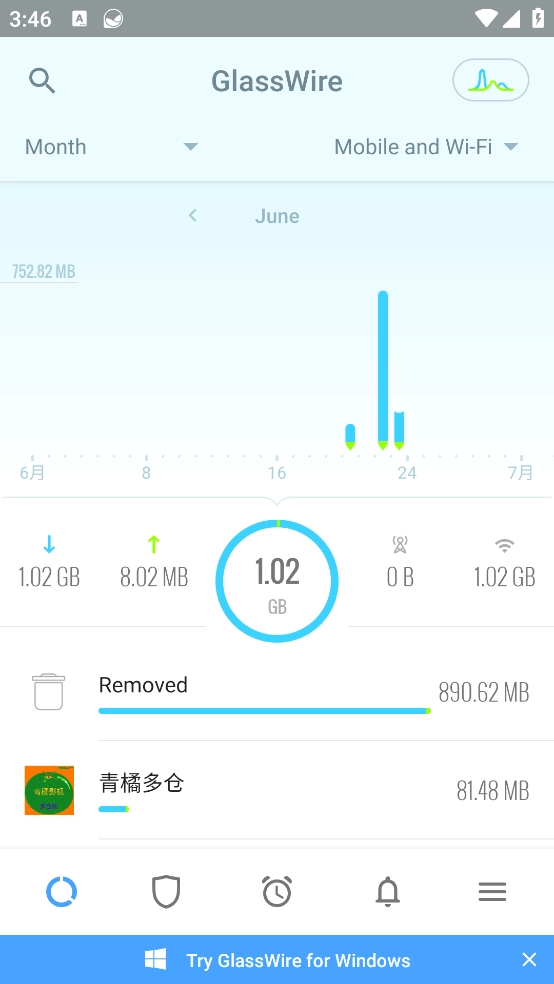 GlassWire截图2