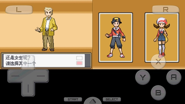 口袋妖怪心金手游直装版截图3