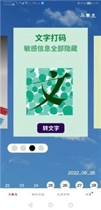 马赛克编辑器专业版截图2