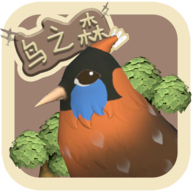ForestOfBirds游戏