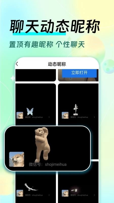 全局透明皮肤截图2