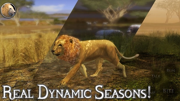 终极狮子模拟器2截图2