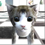 猫咪在密室游戏